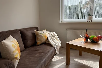 Pension Hirschburg Ferienwohnung 10
