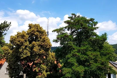 Ferienwohnung Elbhangblick