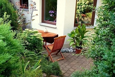Ferienwohnung "Ginkgo" Dresden