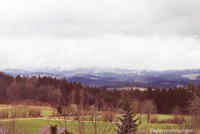 Vakantieappartement Gezinsvakantie Eppenschlag