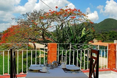 Sunny Balcony House Appartement 1