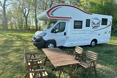 Vakantiehuis Ontspannende vakantie Riepsdorf
