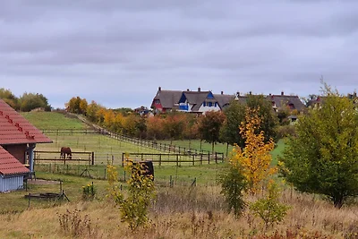 Ferienhaus "Bernstein"