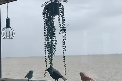 Traumlage Nr. 58 Traumblick direkt