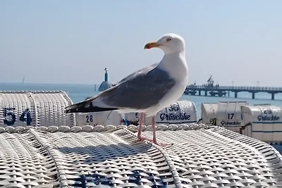 Ferienhof Kruse Wohnung Nr. 2
