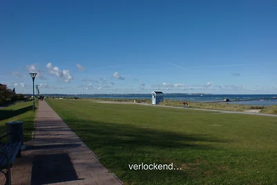 Vakantieappartement Gezinsvakantie Wendtorf