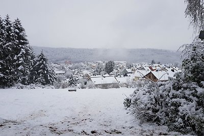 Vakantieappartement Gezinsvakantie Prüm