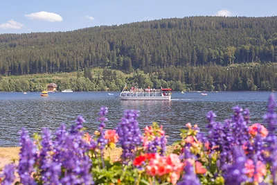 Appartamento Vacanza con famiglia Titisee-Neustadt