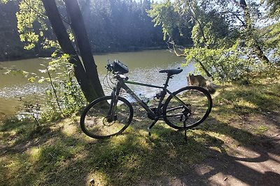 Vakantieappartement Gezinsvakantie Goslar