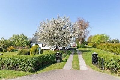 Vakantieappartement Gezinsvakantie Parchtitz