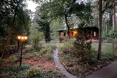 Ferienhaus Waldeule