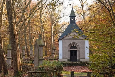 Vakantieappartement Gezinsvakantie Rheinbach