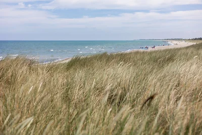 DER STÖRTEBEKER - "Apartment