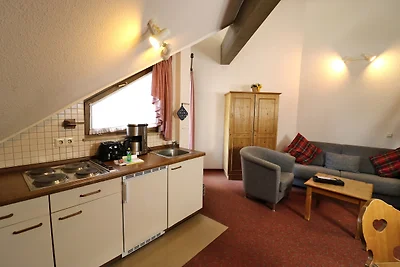 Vakantieappartement Gezinsvakantie Todtnau