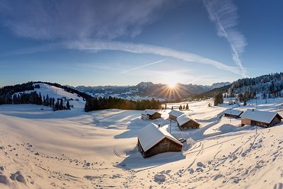 Vakantieappartement Gezinsvakantie Schwarzenberg