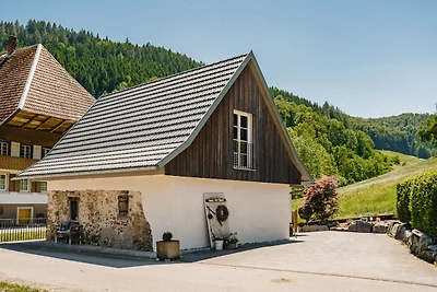 HAUS AM BAECHLE (HOST100) by