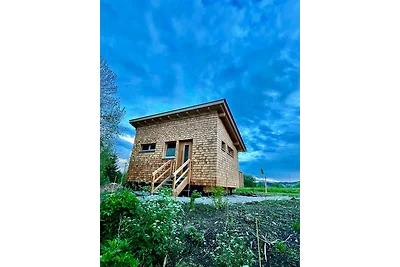 Wald ist Zukunft [Baumhaus Biene]
