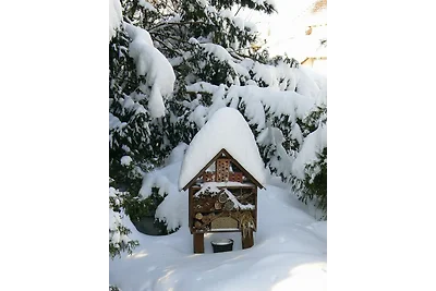 Zimmervermietung Heide Fiege