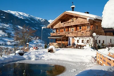 Casa vacanze Vacanza di relax Ramsau im Zillertal