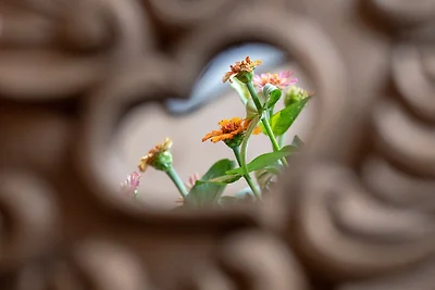 Appartement 8 "Kasperhof Loft"