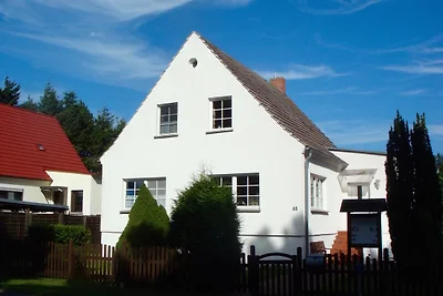 Ferienwohnung Fox Terrier