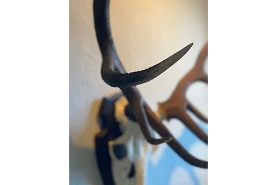 Doppelzimmer deluxe 3