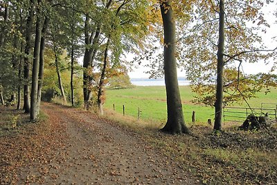 Vakantiehuis Ontspannende vakantie Ulsnis