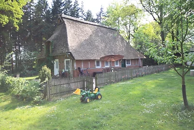 Hof Bockelmann - Twiesselmoor