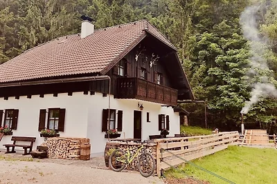 Vakantiehuis Ontspannende vakantie Traunkirchen