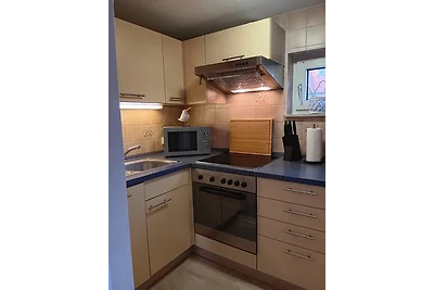 Apart Lachmöwe im Möwennest