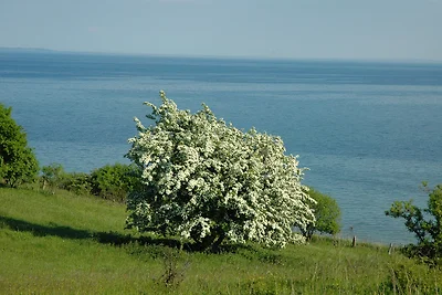 Appartamento Vacanza con famiglia Göhren