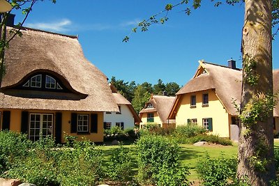 Reetgedecktes Ferienhaus