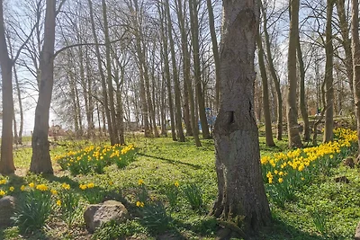 Vakantieappartement Gezinsvakantie Kellenhusen