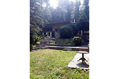 Ferienhaus im Odertal