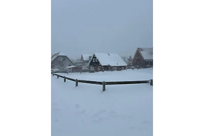 Fischerhäuschen Baltrum, Ost