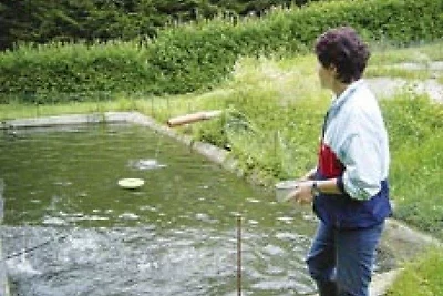 Vakantieappartement Gezinsvakantie St. Oswald