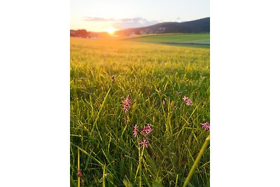 Vakantieappartement Gezinsvakantie Klaffer am Hochficht