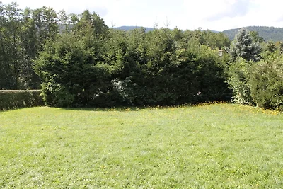 Fewo Bayerischer Wald im Lamer