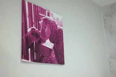 Ferienwohnung Steltenpohl - Whg. 4