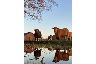 Kuhle Auszeit - Fass Sonnenblume