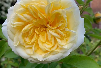 Ferienwohnung in der Schleife