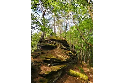 Ferienwohnung Schnegge-Eck direkt