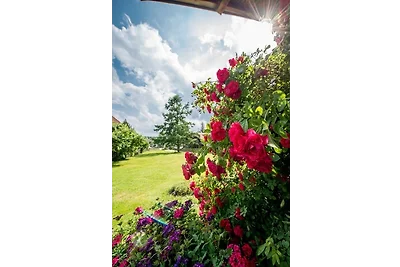 Ferienwohnung Lacherhof