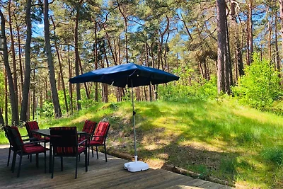 Vakantiehuis Ontspannende vakantie Baabe