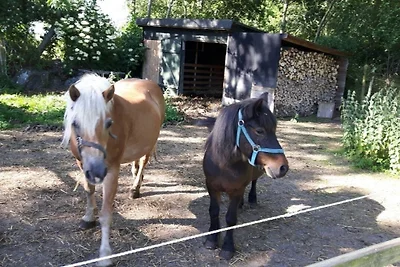 Vakantieappartement Gezinsvakantie Sahrensdorf