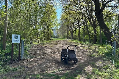 Vakantiehuis Ontspannende vakantie Riepsdorf