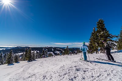 Ferienhaus Dresselbach - Wohnung 04