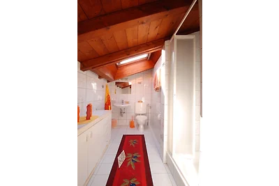 Appartamento Vacanza con famiglia Gambarogno