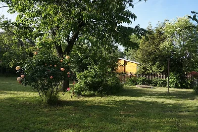 Ferienhaus Hundertmorgenfeld Wo 3