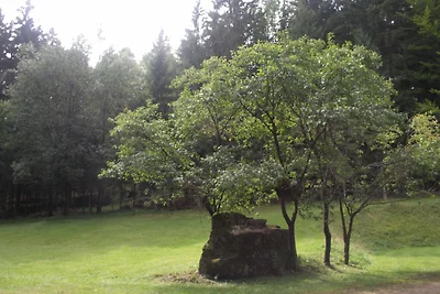 Appartamento Vacanza con famiglia Deggendorf